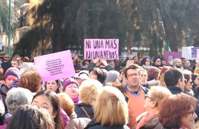 Carteles vistos en la manifestación del 15 de enero en Sevilla. Foto: MJ Romero